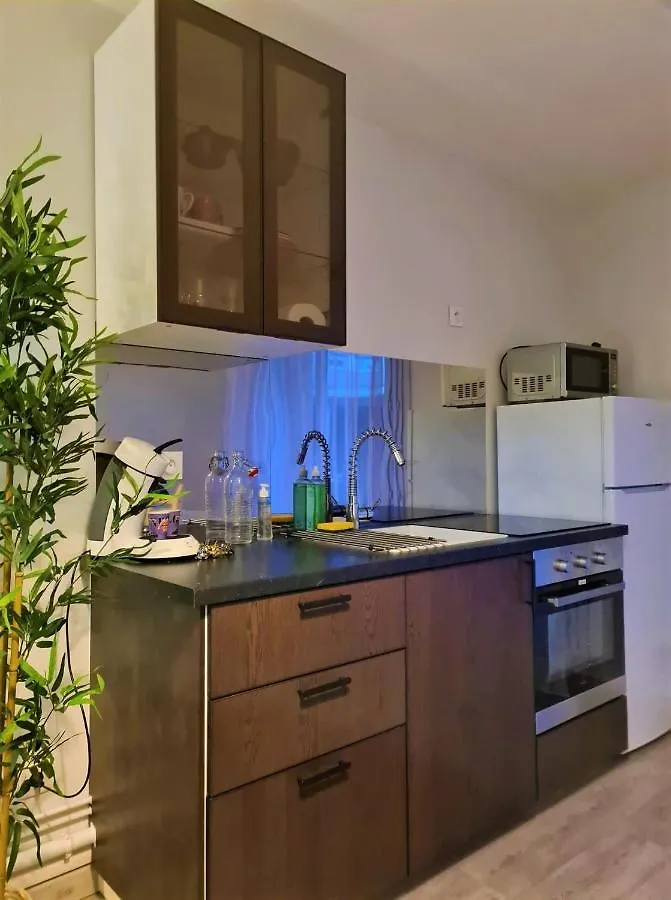 Appartement Grand Studio Lyon Villeurbanne Proche Metro - Wifi France